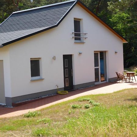 Ferienhaus Am Waldrand - "Libelle" Tornitz Exteriör bild